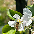 P1746756376864