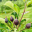 P1748217988291